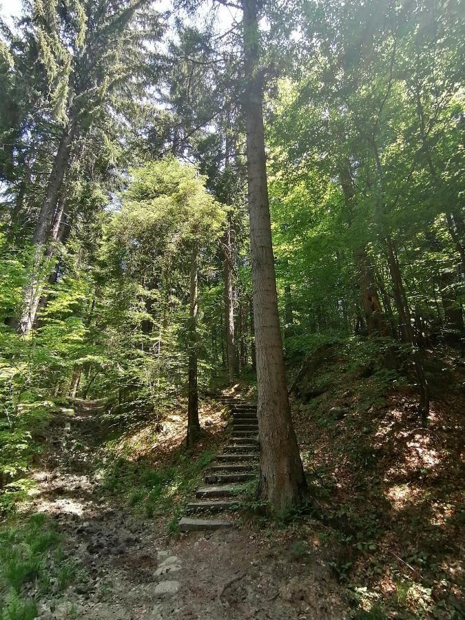 Petkovi Аpartments, Borovets Gardens - One-Bedroom And Two-Bedroom Apartments Exterior foto