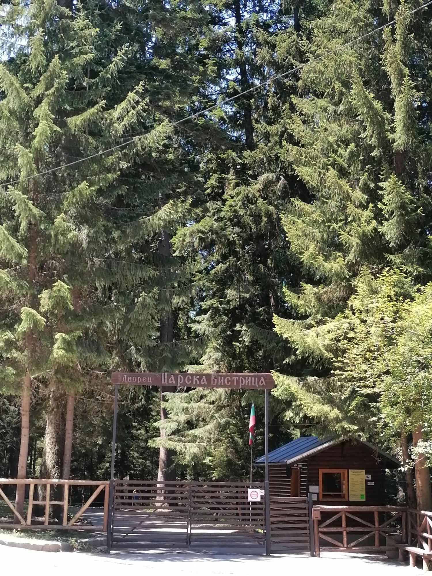Petkovi Аpartments, Borovets Gardens - One-Bedroom And Two-Bedroom Apartments Exterior foto